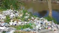 Limbah B3 Pestisida Ditemukan di Sungai Bandar Sidoras, AMPHIBI Desak Investigasi