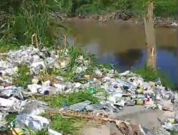 Limbah B3 Pestisida Ditemukan di Sungai Bandar Sidoras, AMPHIBI Desak Investigasi
