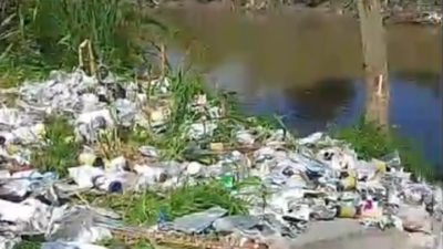Limbah B3 Pestisida Ditemukan di Sungai Bandar Sidoras, AMPHIBI Desak Investigasi